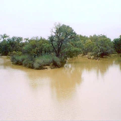 The Paroo River at Wanaaring, New South Wales, Australia, July 2001