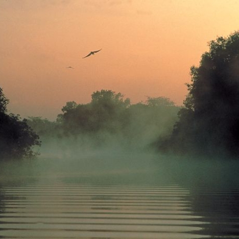 A Billabong at Yellow Water in Kakadu National Park in Northern Territory