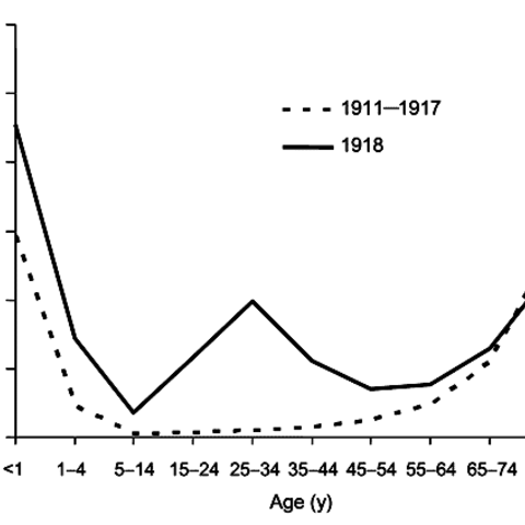 Chart showing the "W Curve" of Spanish Flu mortality, which disproportionally affected healthy young adults