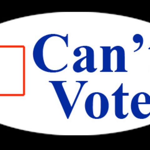 A variation on an 'I voted' sticker.