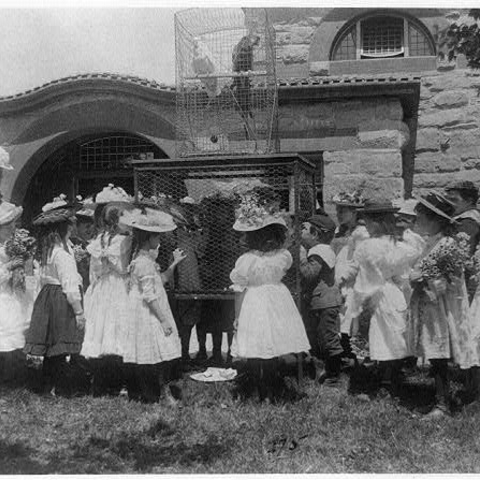 Schoolchildren gathered around a birdcage at the National Zoo.