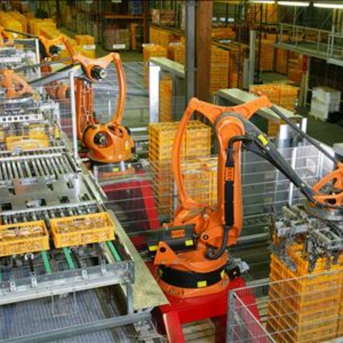 An industrial robot places food on pallets in a factory.