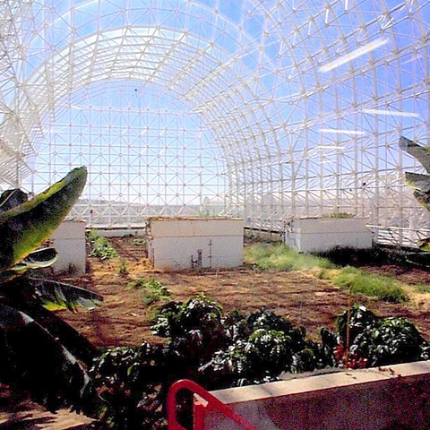 An area for cultivating crops in Biosphere 2.