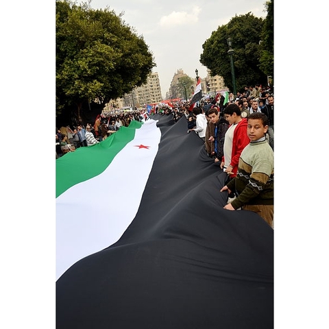 Demonstrators in Cairo support the Syrians against al-Asad's government in February 2012