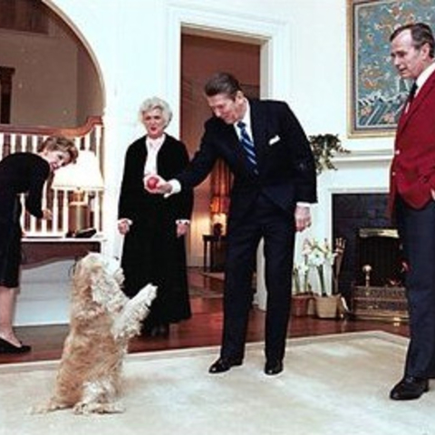 Ronald and Nancy Reagan visit George and Barbara Bush at their home
