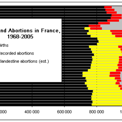 This chart represents the recorded number of births in France since 1968, the estimated number of clandestine illegal abortions since 1968, and the number of recorded legal abortions since France legalized abortion in 1975.