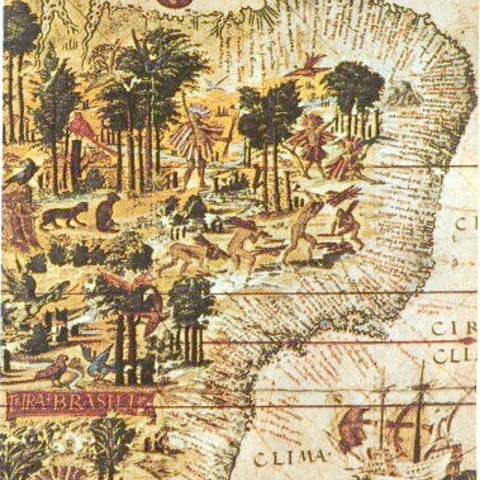 A colonial map of Brazil, 1519