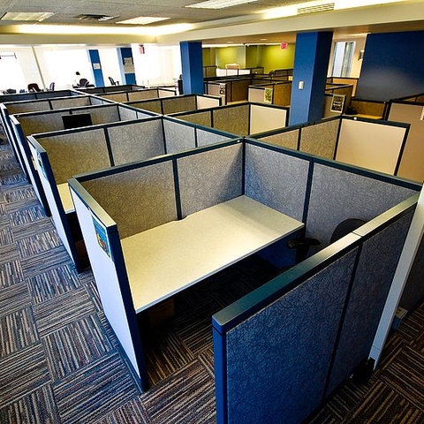 Cubicles: alienation for the professional classes