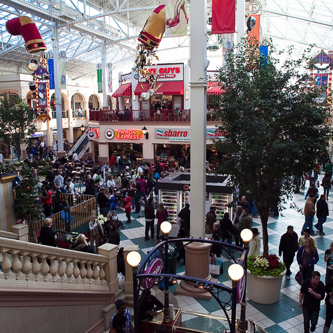 Consumer choice at a suburban shopping center