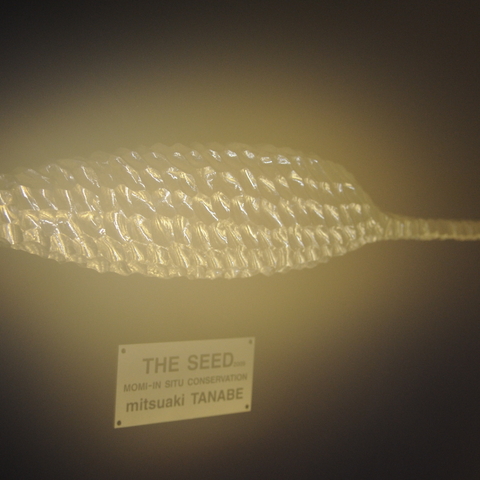 Seeds in storage at the Svalbard Global Seed Vault