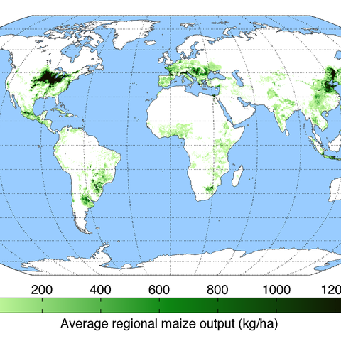 Worldwide maize production in 2000