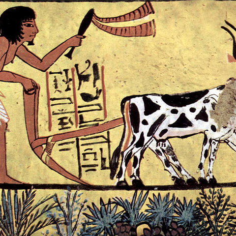 An agricultural image dated around 1200 BCE