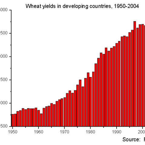 Wheat yields in developing countries from 1950 to 2004, showing the dramatic impact of the Green Revolution