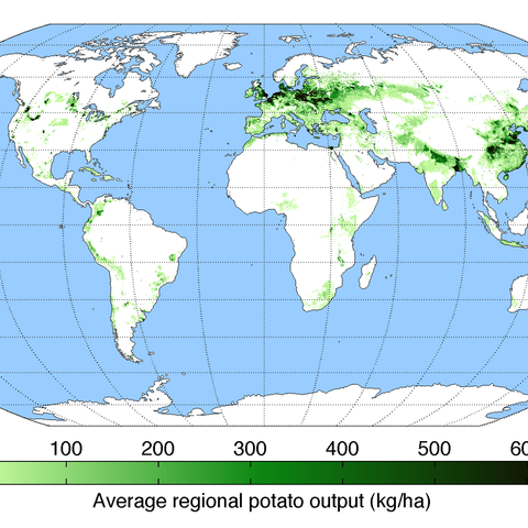 Worldwide potato production in 2000