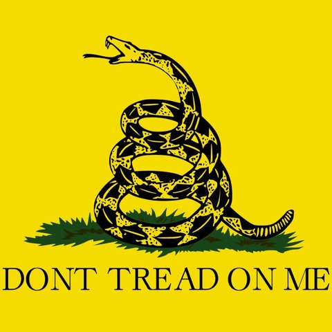 The Gadsden flag, a favorite symbol of Tea Party groups