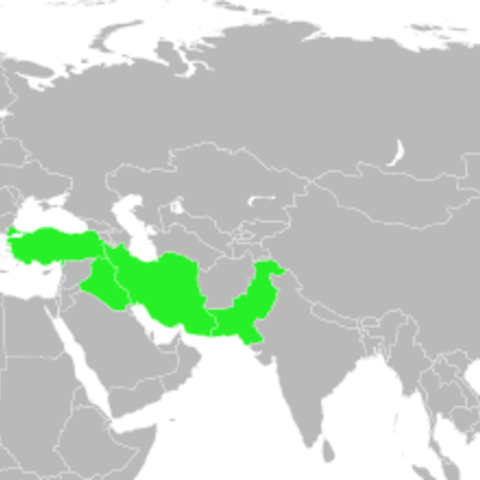 Members of the anti-Soviet Baghdad Pact: Iraq, Iran, Pakistan, Turkey, and Britain