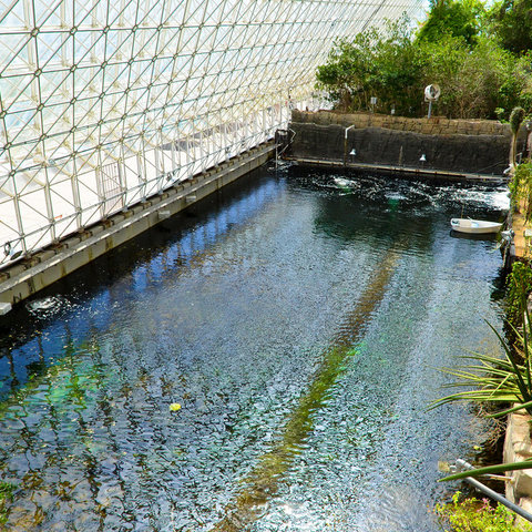 The Ocean area of Biosphere 2.