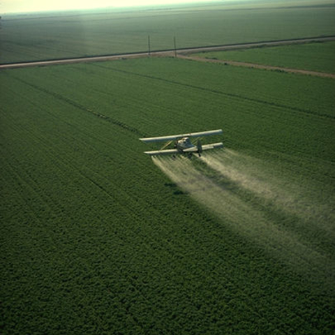 A crop duster spraying pesticide in California