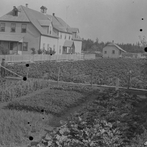 The farm at St. Luke’s English Church Mission School.