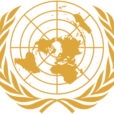 The emblem for the United Nations.