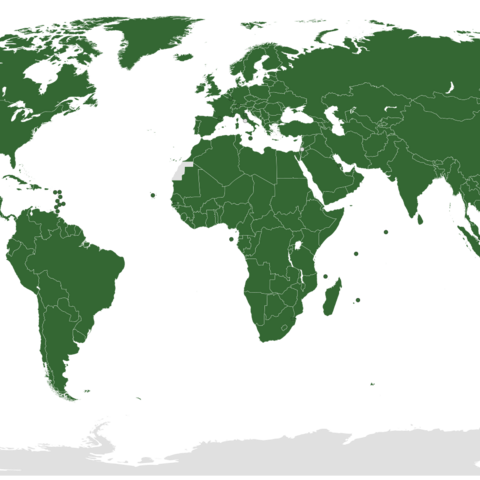 A map of UN member nations in green and non-members in grey.