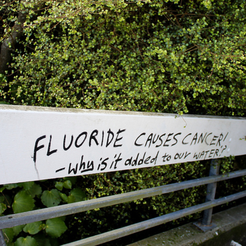 Graffiti in Wellington, New Zealand declaring that fluoride causes cancer and questioning why it is added to water.