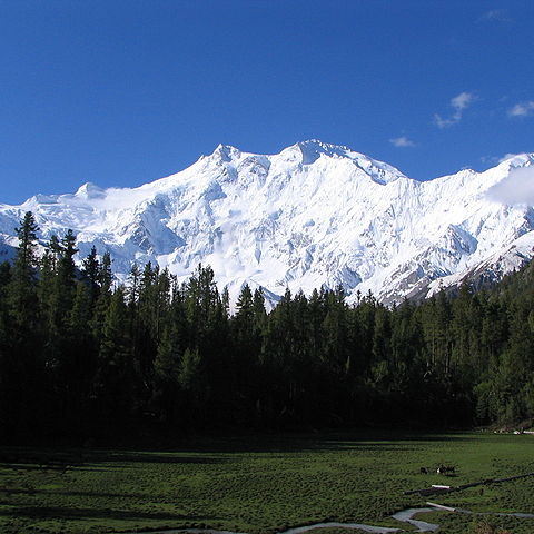 Kashmir.