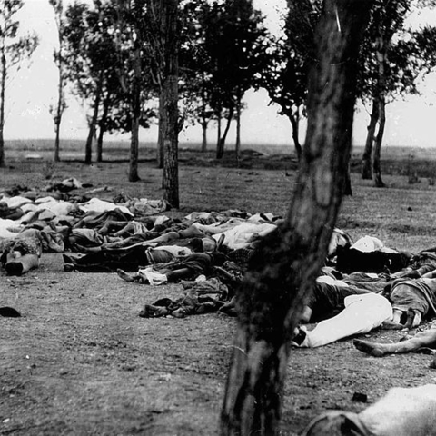 Bodies of those killed during the Armenian Genocide.