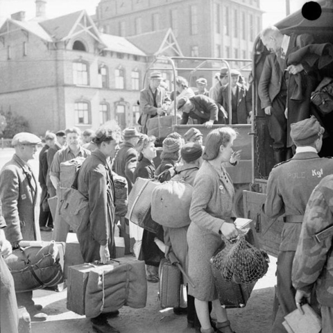 An estimated 120,000 displaced persons were housed on the grounds of the Hamburg Zoo.