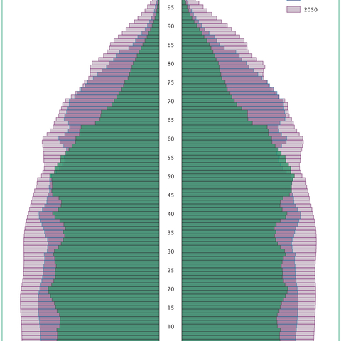 Projected U.S. populations by age and sex.