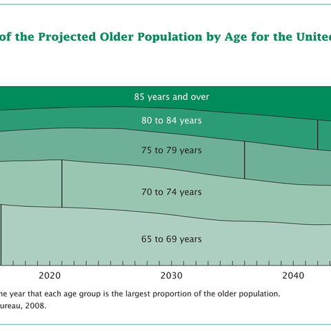 Graph depicting the changing makeup of the older population.