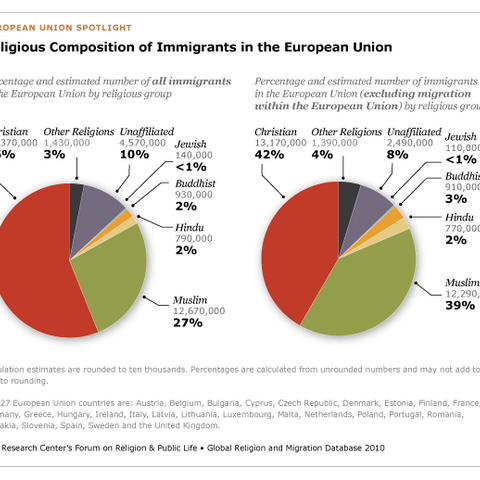 Charts illustrating the composition of European Union immigrants.
