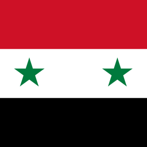 The official Syrian flag.