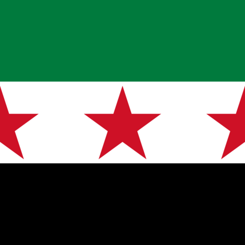 The Syrian Independence Flag.