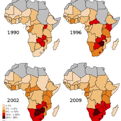 The spread of HIV/AIDS in sub-Saharan Africa.