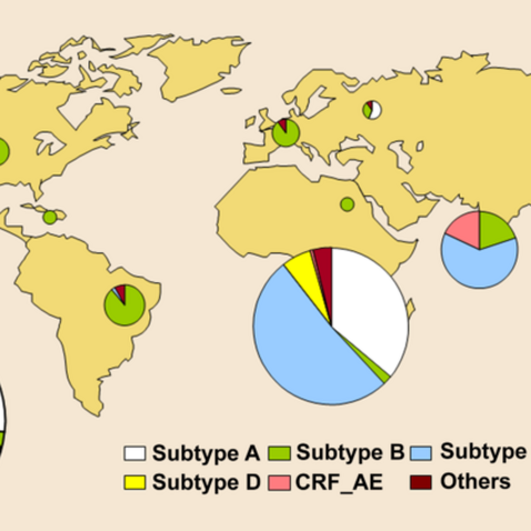 A 2002 map depicting HIV-1 subtype prevalence.