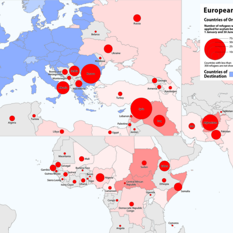 Asylum applicants' countries of origin between January 1-June 30, 2015.