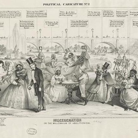 An 1864 political cartoon depicting a ludicrous version of the results of racial equality.