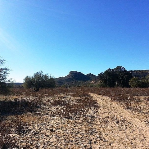 This hiking trail covers part of a canal the Southwestern Hohokam built in 700 CE. The trail leads to Indian Mesa.