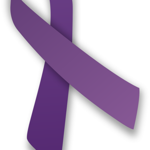 This purple ribbon is donned to increase awareness about Interpersonal Violence and Abuse Prevention.