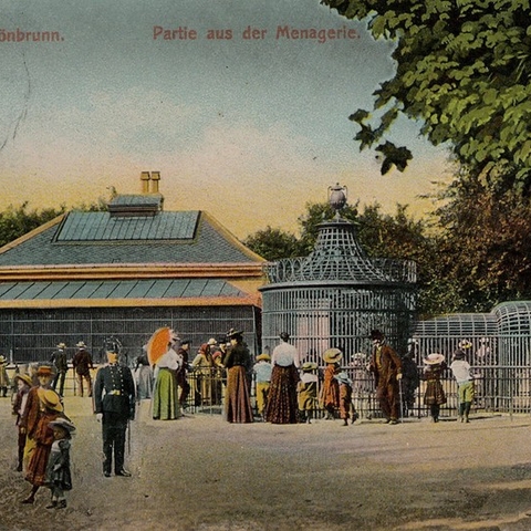 Schönbrunn Zoo postcard.