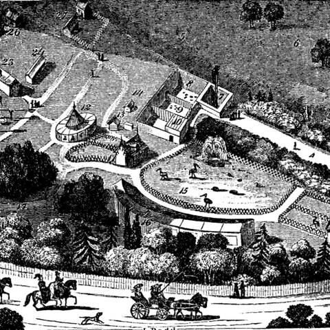 An overhead view of the London Zoo in 1828.