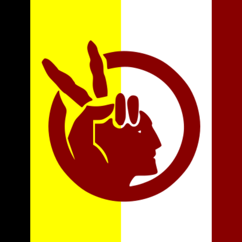 The flag of the American Indian Movement.