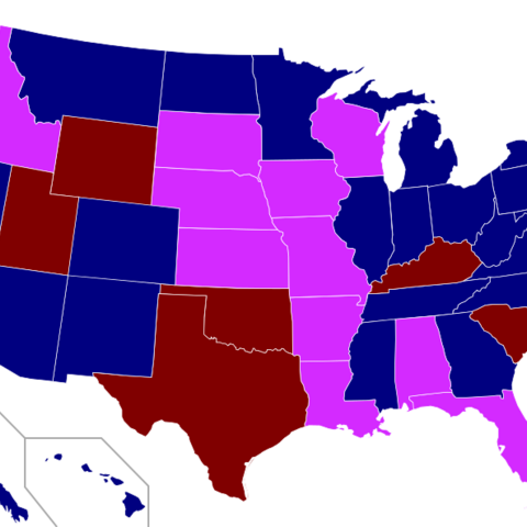 The Senate Vote on the Violence Against Women Reauthorization Act of 2013/
