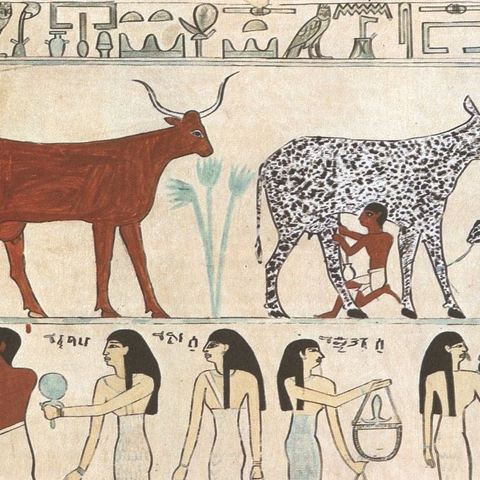An Egyptian hieroglyphic painting.