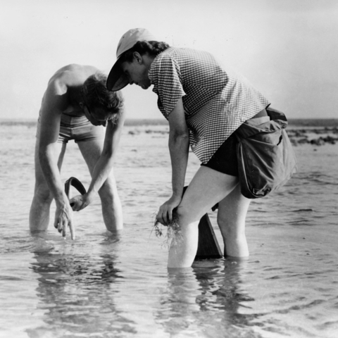 Rachel Carson and Bob Hines conducting research off the Atlantic coast.