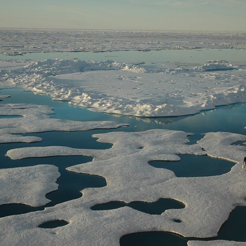 Scientists in an endless vista of ice, sea, and meltwater.
