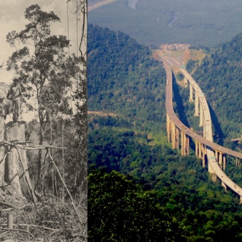 On the left, two axmen cutting timber in Fordlandia in 1931. On the right, the Immigrant Highway.