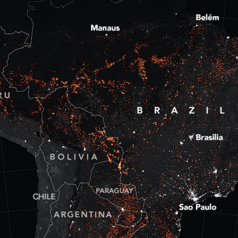 A NASA map showing active fires in South America.