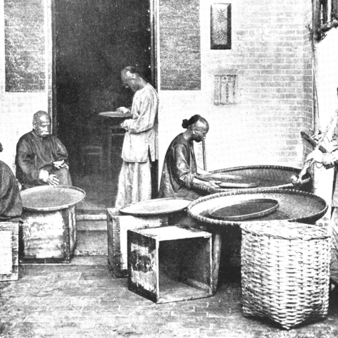 Men sorting tea in Canton in 1873.